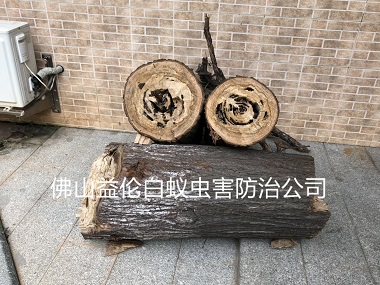 佛山景裕豪園小區(qū)白蟻防治