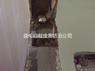 越秀毛坯房裝修白蟻預防