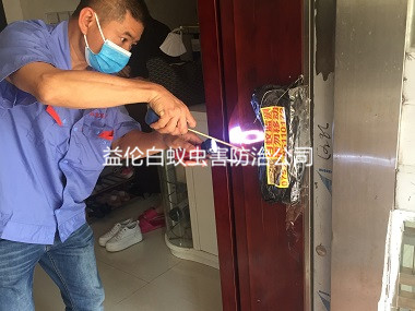 天河區(qū)住宅白蟻防治工程