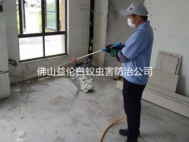 和順房屋裝修預(yù)防白蟻