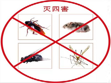 四害消殺工程