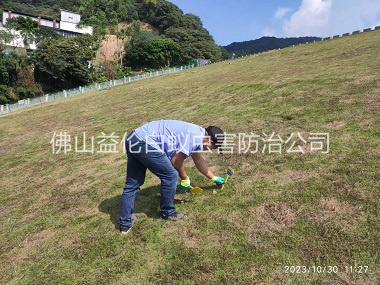 三水水利白蟻防治工程