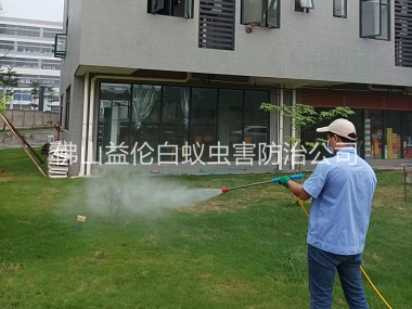 佛山消殺蚊蟲害工程