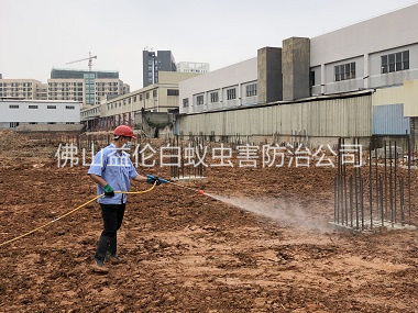 禪城基礎(chǔ)白蟻預(yù)防工程