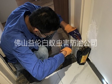 高明住宅白蟻防治工程
