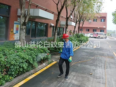 高明環(huán)境蚊蠅防控工程