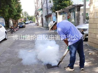 佛山房屋滅治白蟻工程